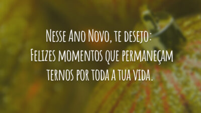 Nesse Ano Novo te desejo