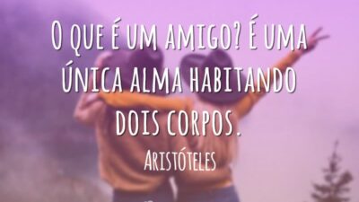 A mais perfeita amizade