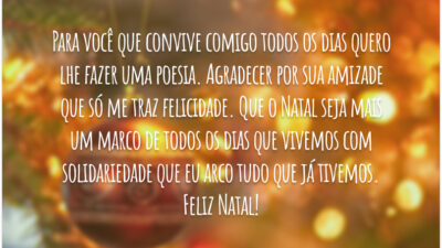 Feliz Natal para colega de trabalho