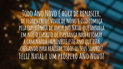 O Ano Novo começa com a experiência de amor no Natal…