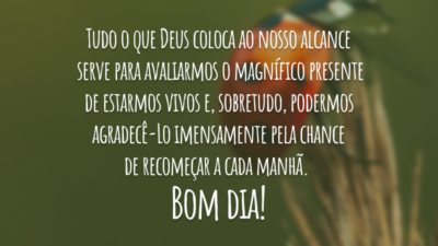 O magnífico presente de estar vivo