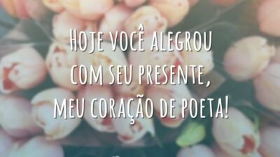 Você me alegrou