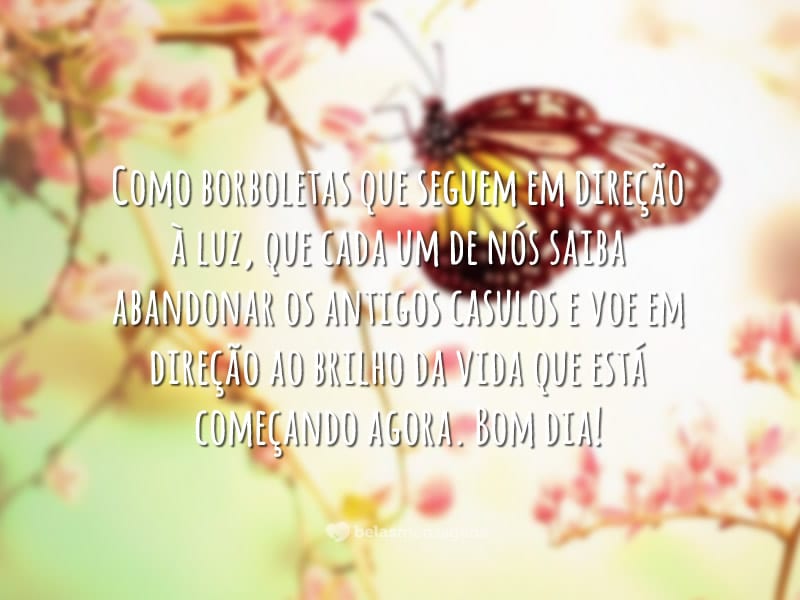 90 frases de bom dia para uma manhã radiante 90 frases de bom dia para uma manhã radiante