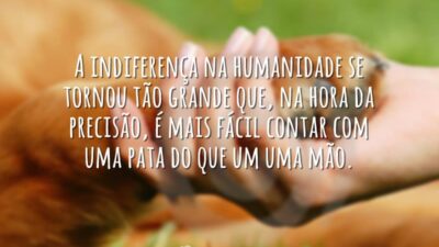 A indiferença na humanidade