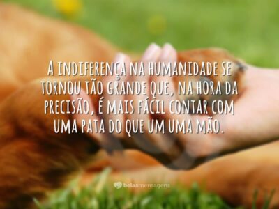 A indiferença na humanidade