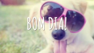 Bom dia para todos