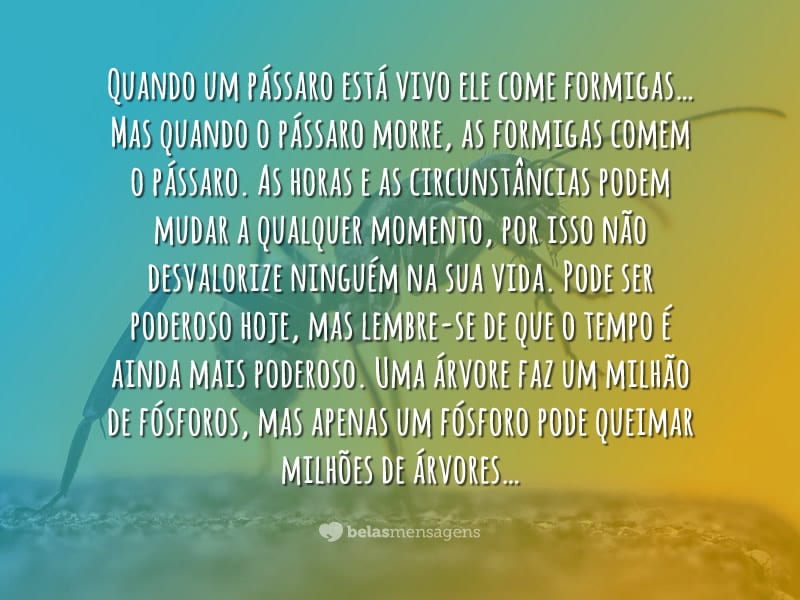 Mensagens De Reflexão Página 2 De 146 Belas Mensagens