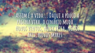 Assim é a vida
