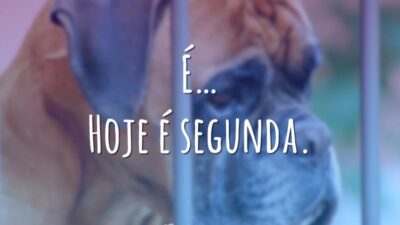 É… Hoje é segunda