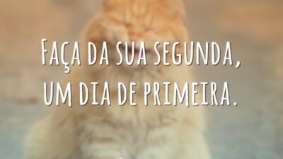 Faça da sua segunda