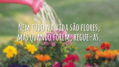 Nem tudo na vida são flores