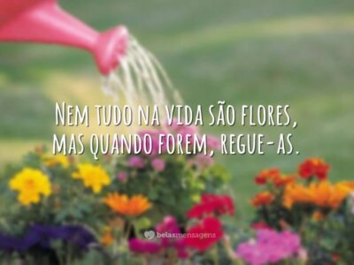 Nem tudo na vida são flores