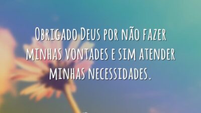 Vontades e necessidades