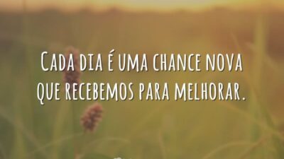 Cada dia