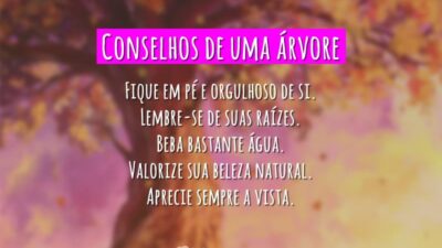 Conselhos de uma árvore