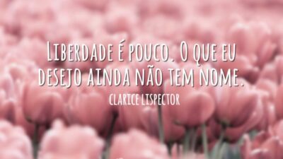 Liberdade é pouco