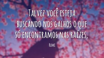 Talvez você esteja buscando
