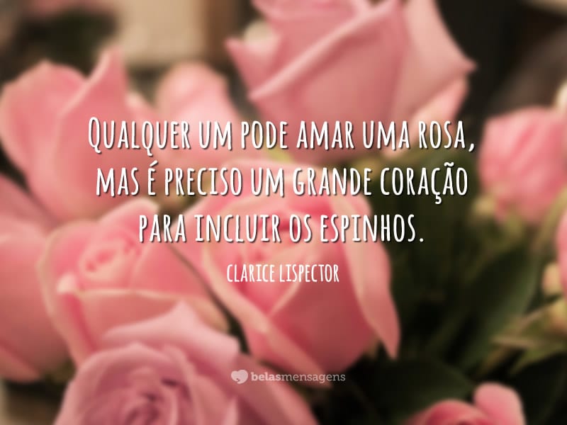 Qualquer um pode amar uma rosa - Belas Mensagens