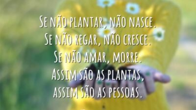 Se não plantar, não nasce