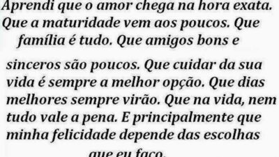 Aprendi que o amor chega na hora exata