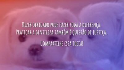Dizer obrigado