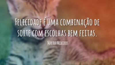 Combinação da felicidade