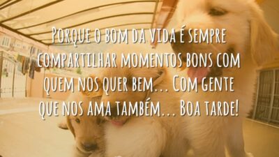 O bom da vida
