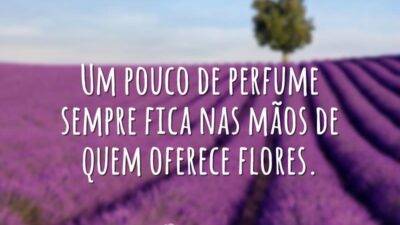 Um pouco de perfume