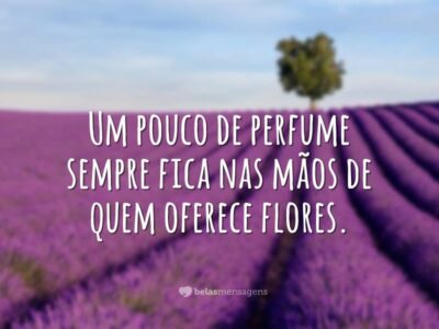 Um pouco de perfume