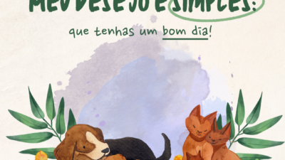 Meu desejo é simples