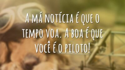 O tempo voa