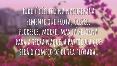 Cíclico