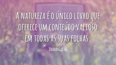Conteúdo valioso