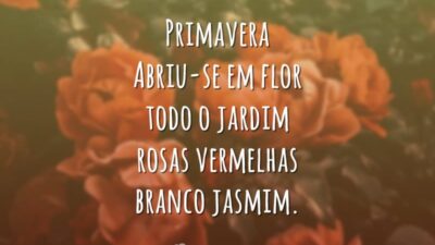Flor