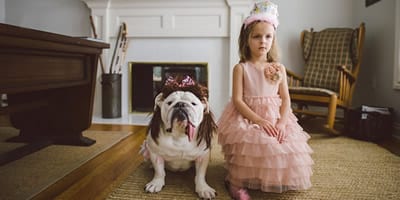 A amizade entre uma garotinha e uma bulldog inglês