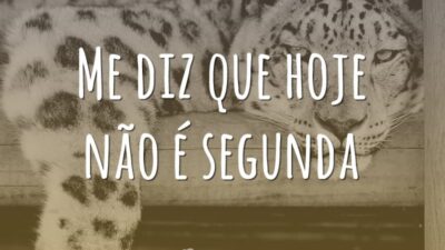 Me diz