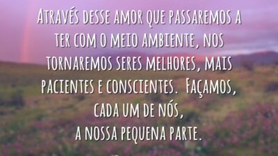 Meio ambiente