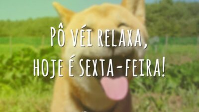 Pô véi