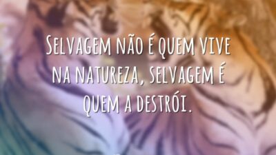 Selvagem