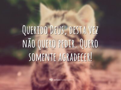 Mensagens De Agradecimento Belas Mensagens