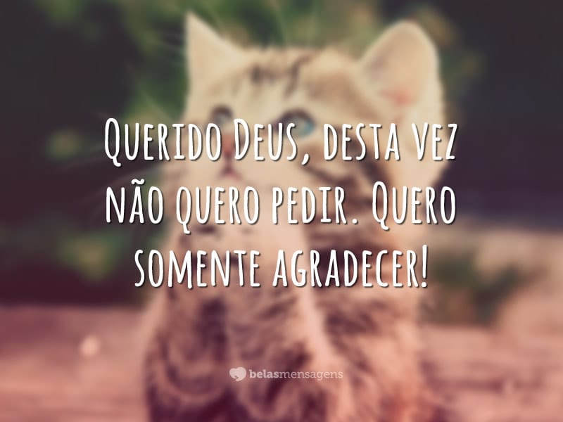 Mensagens de Agradecimento - Belas Mensagens Mensagens de Agradecimento - Belas Mensagens