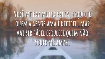 Você não soube me amar