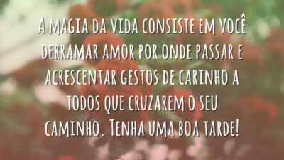 Magia da vida