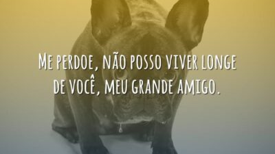 Me perdoa?