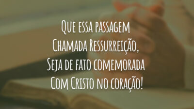 Coelhinho da Páscoa