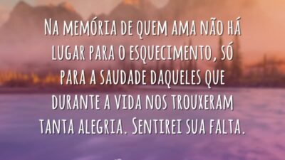 Sentirei sua falta