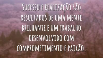 Sucesso e realização