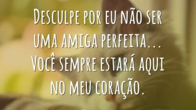 Desculpe