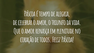 Tempo de alegria