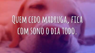 Sono